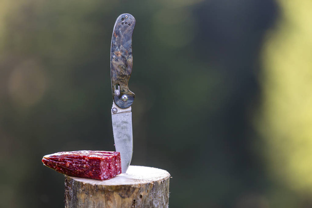Close-up of folding pocket knife stuck vertically in tree stump and piece of sausage outdoors on dark green forest blurred copy space background. Tourism, traveling, snack, active lifestyle concept. - Photo, Image