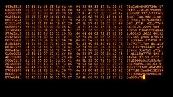 gecodeerde snel lang scrollen programmering hacken code veiligheidsgegevens stromen stream op amber oranje weergave nieuwe kwaliteit nummers brieven codering techno vrolijke video 4k-beeldmateriaal - Video