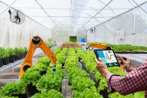 Boer die een tablet slimme robot oogst in de landbouw futuristische robot automatisering te laten werken technologie verhoging van de efficiëntie - Foto, afbeelding