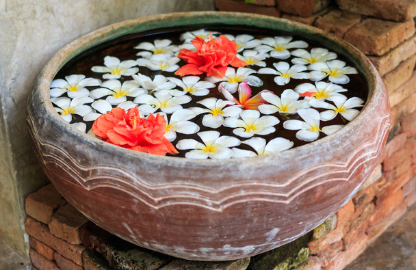Франжипани цветы плавающие в древней чаше
 - Фото, изображение