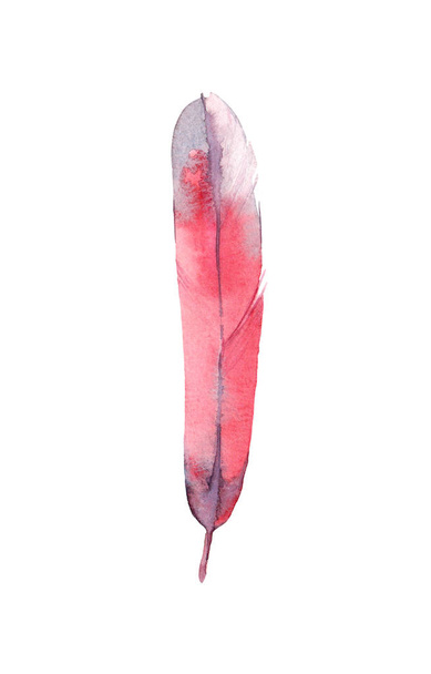 Stylizované červené dlouhé pírko ptáka na bílém pozadí. Akvarel, ilustrace. - Fotografie, Obrázek