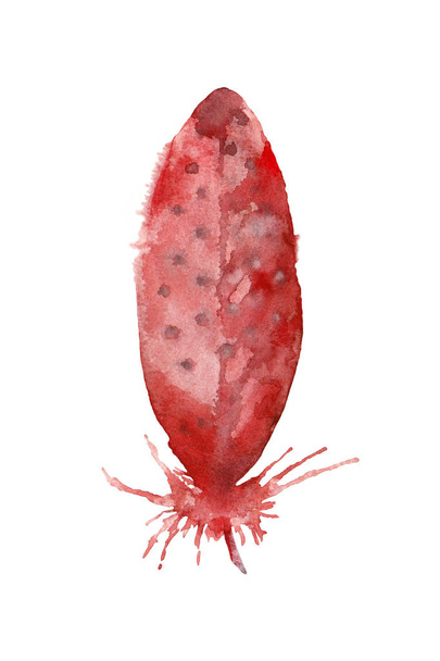 stilisierte grafische rote Feder eines behelmten Uhus. Handgezeichnete Aquarell-Illustration. - Foto, Bild
