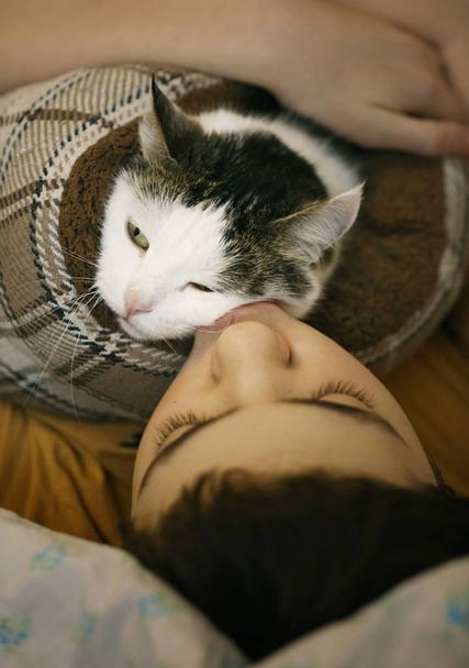 adolescente chico con gato beso abrazo foto en cama
 - Foto, imagen