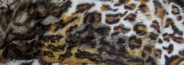 Leopard, Jaguar fur with stained on skin texture, close up - Photo, Image