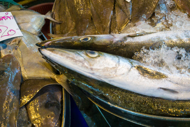 Ryby mořské plody v trhu na ledě, Dha potraviny - Fotografie, Obrázek
