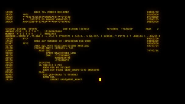 gecodeerde snel lang scrollen programmering hacken code veiligheidsgegevens stromen stream op amber oranje weergave nieuwe kwaliteit nummers brieven codering techno vrolijke video 4k-beeldmateriaal - Video