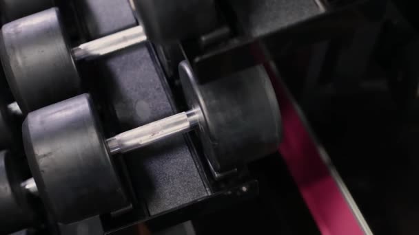 Conjunto, um rack de halteres de diferentes tamanhos para treinamento, close-up
. - Filmagem, Vídeo