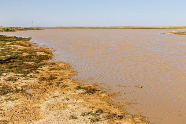 ゴビ砂漠モンゴル モンゴル草原で汚れた水と湖 - 写真・画像