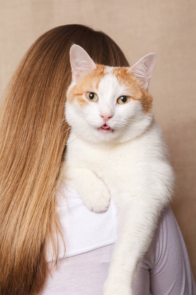 Ніжний білий кіт на жіночому плечі. Білий кіт на плечі блондинки на бежевому фоні
. - Фото, зображення