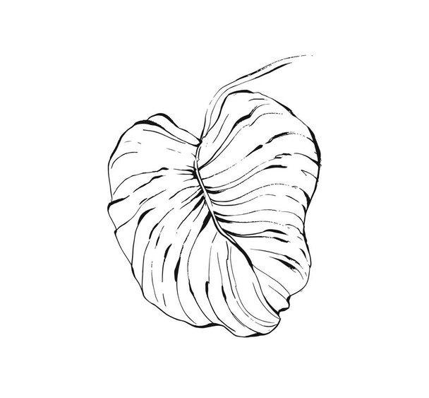 Handgezeichnete Vektor abstrakte Tuschezeichnung grafische Skizze Illustration Symbol mit tropischen exotischen Palmblatt isoliert auf weißem Hintergrund. - Vektor, Bild