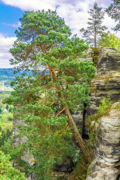 The Elbe Sandstone Mountains in Germany, Europe - Foto, Imagen