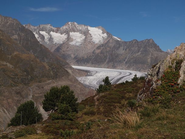Iso Aletsch-jäätikkö
 - Valokuva, kuva