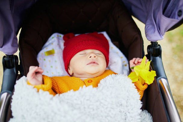 1 month old baby girl sleeping in perambulator and holding flower in her hand - Foto, Bild