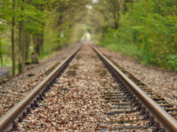 Spoorweg track uit de vaart in de herfst - Foto, afbeelding