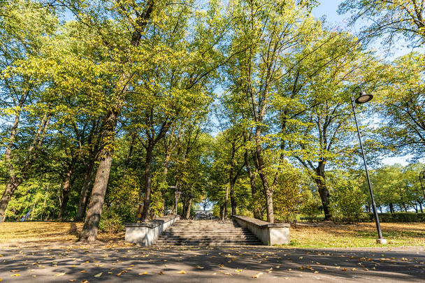 Wyświetlić zbliżenie schody betonowe w parku w słoneczny dzień z złotych liści jesienią w Europie drzew, Łotwa, koncepcja relaksujący podróży dzień w pokoju i harmonii na wsi, streszczenie tło - Zdjęcie, obraz