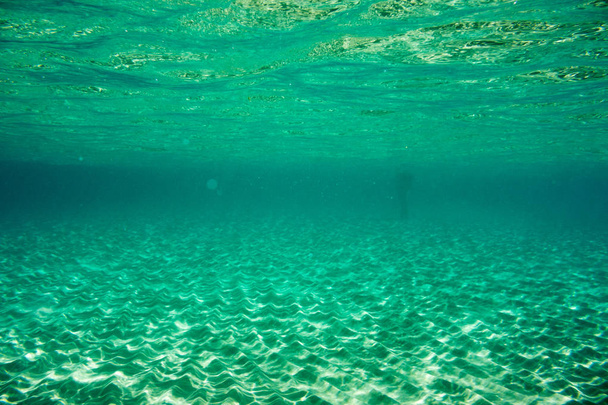 Textura submarina y fauna en el mar Jónico, Zakynthos, Grecia
  - Foto, imagen