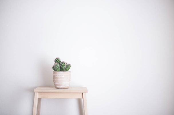 pote de cactus en la pared blanca del frente del soporte blanco
 - Foto, Imagen