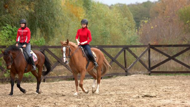 Jonge vrouwen paardrijden paarden op boerderij. - Video