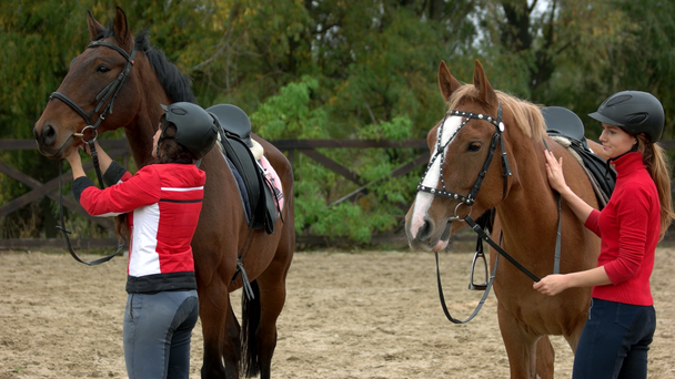 Glückliche Reiterinnen bereiten ihr Pferd auf das Reiten vor. - Filmmaterial, Video