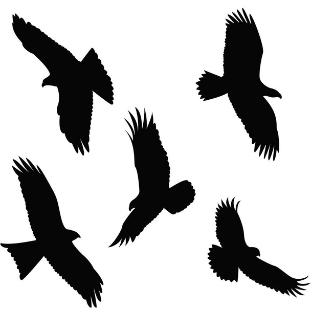 Aigle volant Silhouette sur fond blanc
  - Vecteur, image
