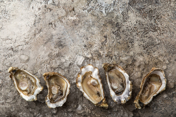fresh raw oysters with ice on concrete background, top view, copy space - Fotoğraf, Görsel