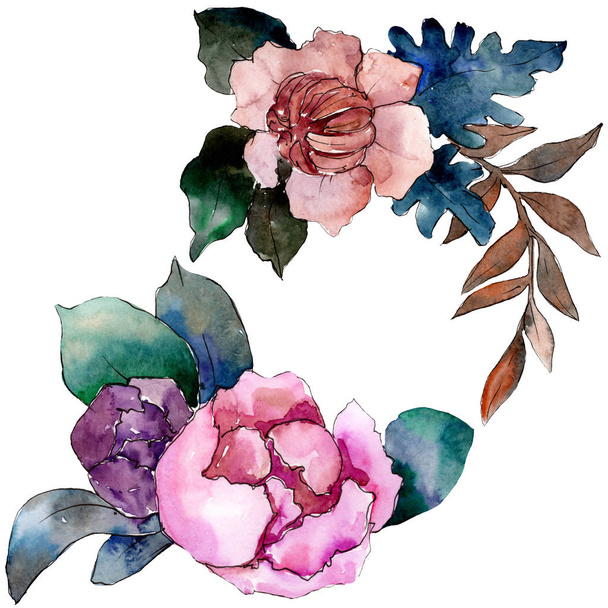 Pünkösdi rózsa és zamatos csokor virág virág. Akvarell háttér beállítása. Elszigetelt csokor ábra elem. - Fotó, kép