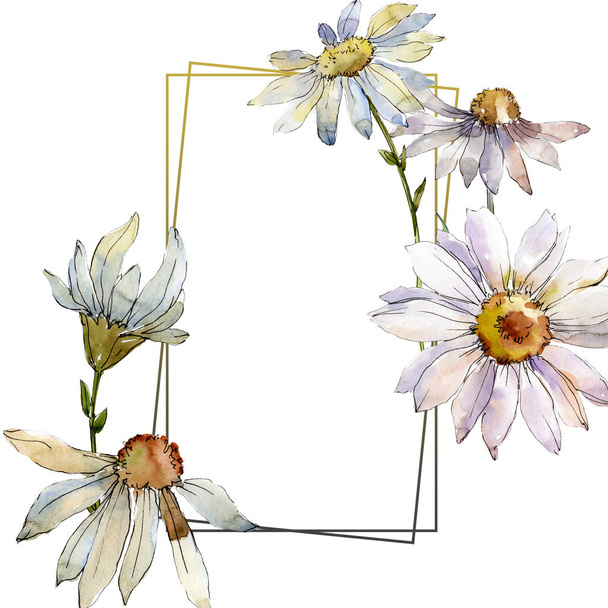 White daisy floral botanical flower. Watercolor background illustration set. Frame border ornament square. - Fotoğraf, Görsel
