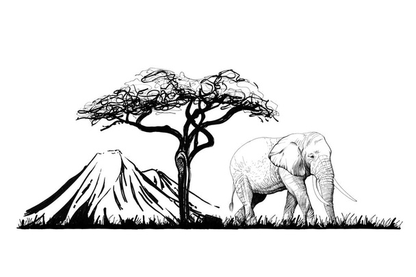 Elefante cerca de un árbol en el fondo del monte. Ilustración hecha a mano. Colección de ilustraciones dibujadas a mano (originales, sin trazado
) - Foto, Imagen