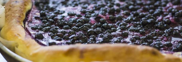 background of homemade blueberry pie close-up - Photo, Image