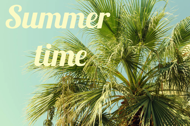 heller Hintergrund mit Inschrift Sommerzeit auf grünen, ausladenden Palmenzweigen - Foto, Bild