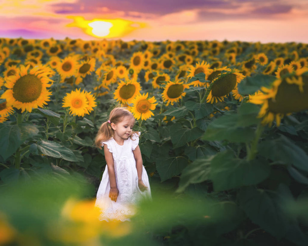 New Era Concept With Happy Kids, People. At Sunflower Field - Foto, Bild