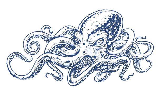 Octopus Vintage Vector Art isolated on white. Engraving style vector illustration of octopus.  - Vector, Image