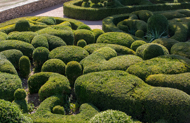   フランスのドルドーニュ地方のジャルダン ・ デ ・ マルケイ サック城の庭園でのトピアリー - 写真・画像
