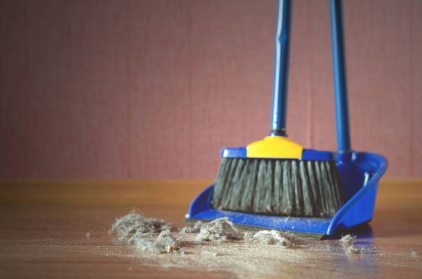Dust on a house floor and floor brush with dustpan background. Home cleaning concept. - Photo, Image