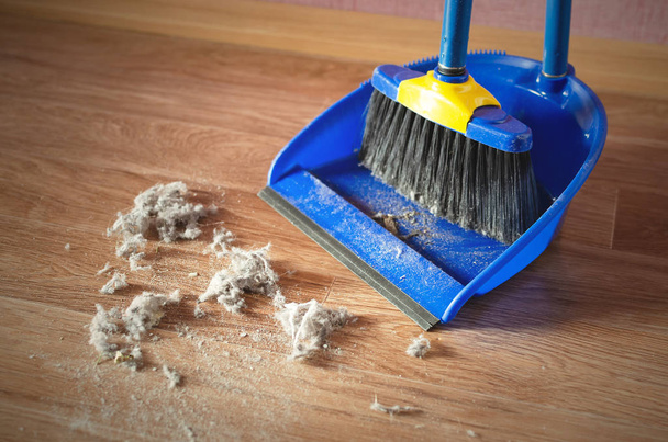 Dust on a house floor and floor brush with dustpan background. Home cleaning concept. - Foto, imagen
