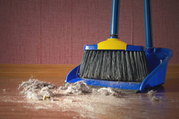 Dust on a house floor and floor brush with dustpan background. Home cleaning concept. - Фото, зображення