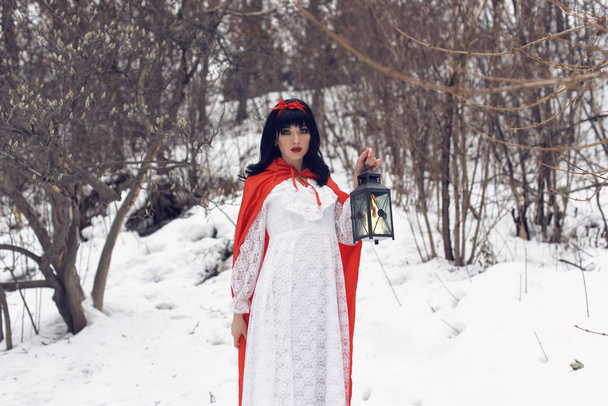 Snow white adventures in the winter forest - Fotó, kép