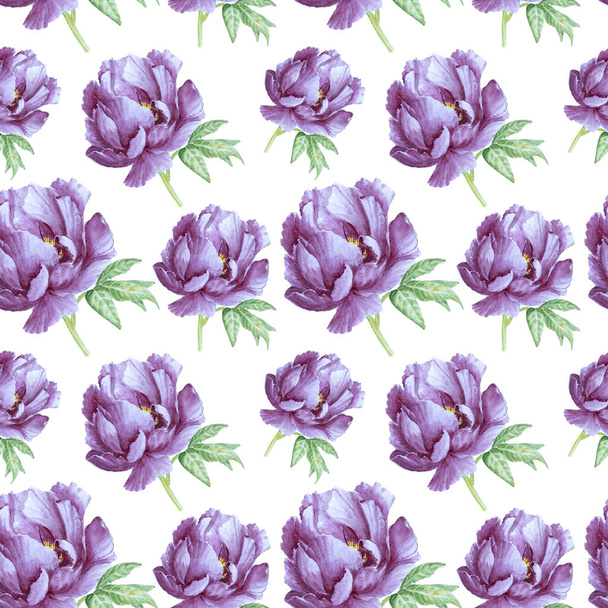 Seamless watercolor pattern with amazing peony isolated on white background - Foto, immagini