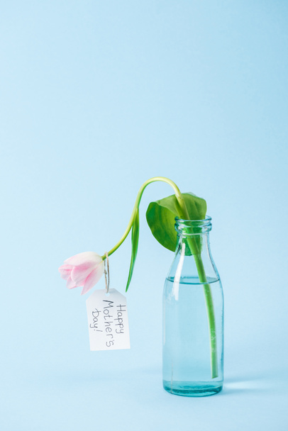 white tulip in transparent glass vase with happy mothers day greeting label on blue background - Fotó, kép