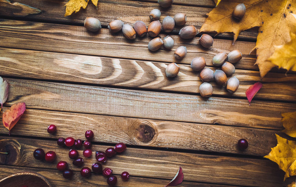 Cranberries and hazelnuts on wooden background. Useful autumn food. Autumn yellow foliage. - Фото, зображення