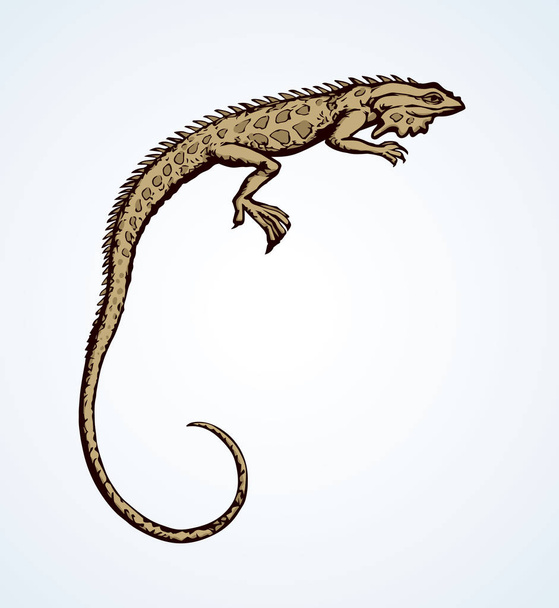 白い背景に隔離された古い爬虫類Lacertiliaペットをscamate 。フリーハンドのアウトラインインクハンドは、紙の上にアートレトロなドアスタイルのペンでスケッチ絵のシンボルを描いた。空のテキストのためのスペースとクローズアップビュー - ベクター画像