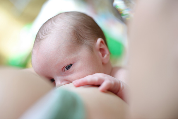 Breast-feeding of the newborn - Foto, afbeelding