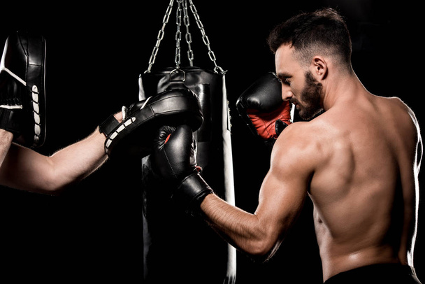 boxer beau combat avec l'homme dans des gants de poinçonnage isolé sur noir
 - Photo, image