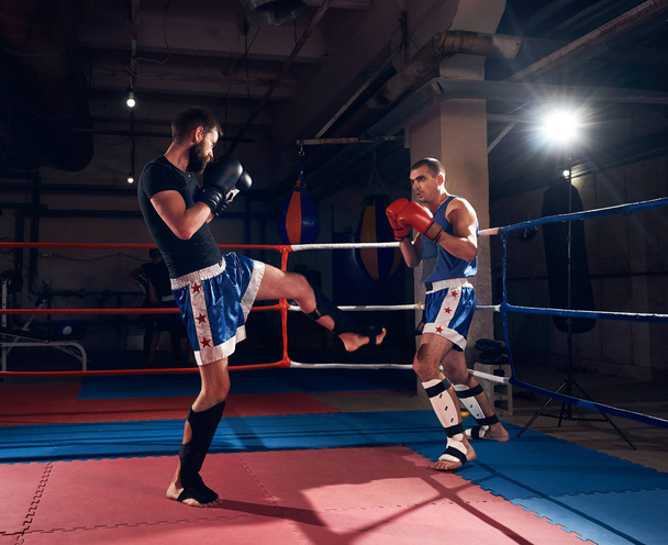 Dos boxeadores adultos masculinos entrenando en el ring en el club de lucha
  - Foto, imagen