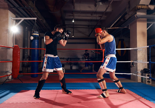 Two sportsmen aggressive boxers training boxing in ring at sport club - Photo, Image