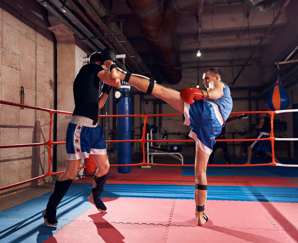 Two sportsmen kick-boxers exercising kickboxing in ring at sport club - Photo, Image