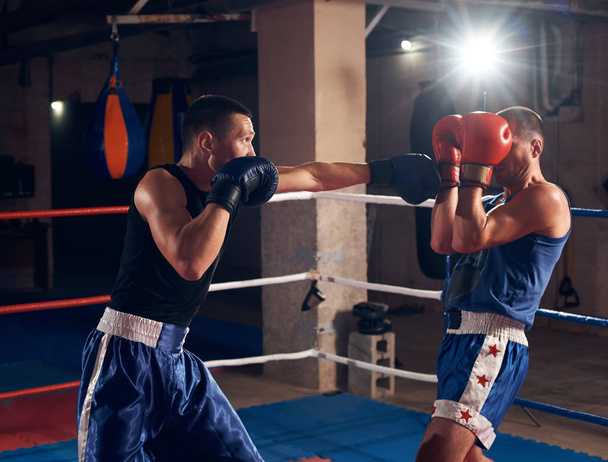 Kaksi urheilijaa aggressiivinen nyrkkeilijät koulutus nyrkkeily kehässä urheiluseurassa
 - Valokuva, kuva