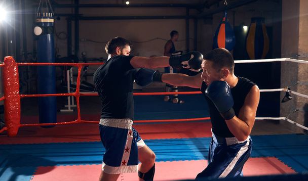 İki atlet sporcular boksörler boks Spor Kulübü, pratik tekme - Fotoğraf, Görsel