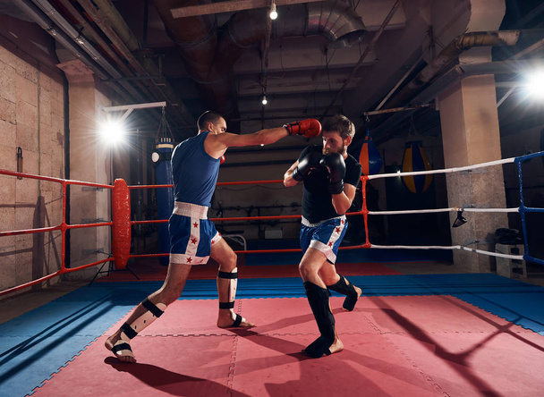 Deux boxeurs sportifs actifs pratiquant le kickboxing sur le ring au club de sport
 - Photo, image