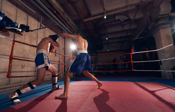 Deux boxeurs sportifs sportifs pratiquant la boxe sur anneau au club de sport
 - Photo, image